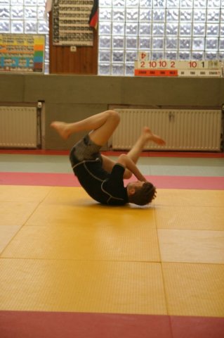 Judolehrgang Bodentechniken / SV / Treechallenge