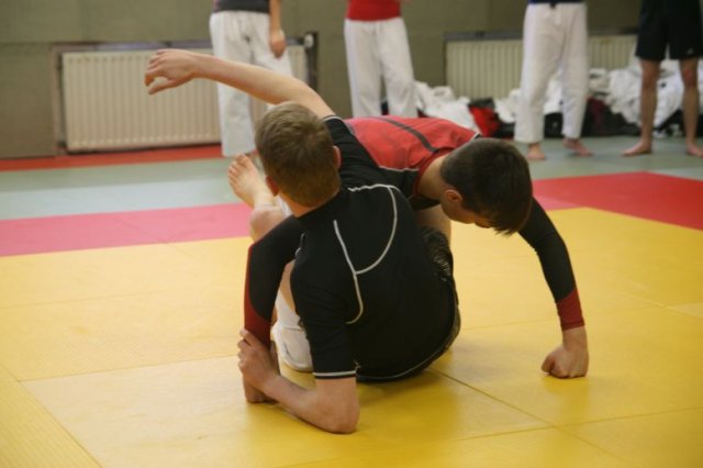 Judolehrgang Bodentechniken / SV / Treechallenge