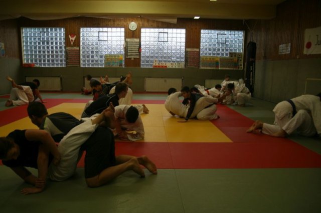 Judolehrgang Bodentechniken / SV / Treechallenge