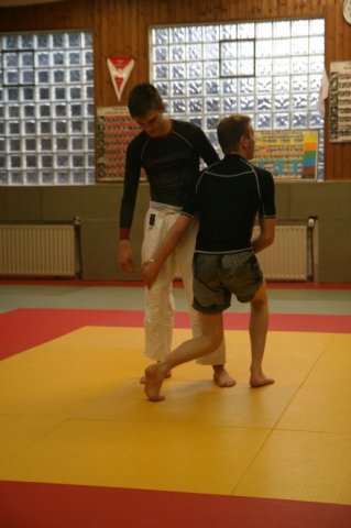 Judolehrgang Bodentechniken / SV / Treechallenge