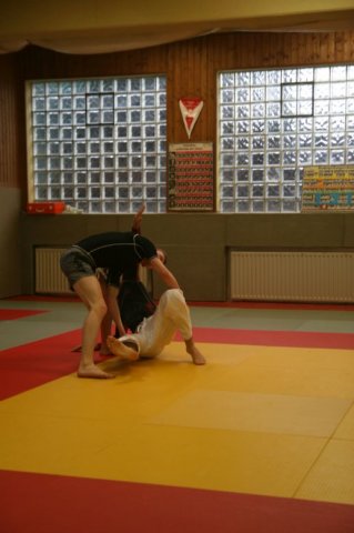 Judolehrgang Bodentechniken / SV / Treechallenge