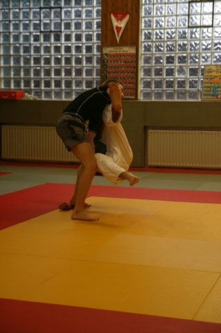 Judolehrgang Bodentechniken / SV / Treechallenge