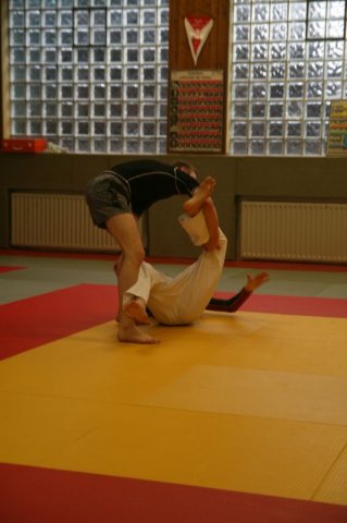 Judolehrgang Bodentechniken / SV / Treechallenge