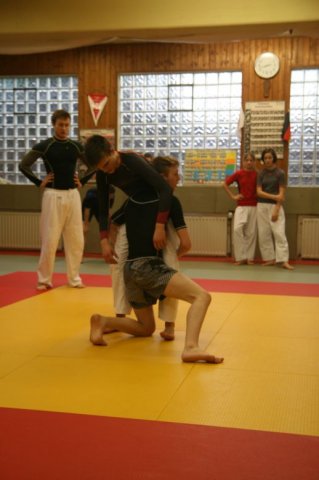 Judolehrgang Bodentechniken / SV / Treechallenge