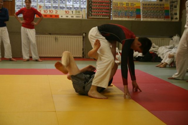 Judolehrgang Bodentechniken / SV / Treechallenge