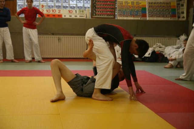 Judolehrgang Bodentechniken / SV / Treechallenge