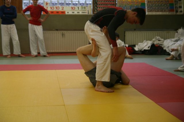 Judolehrgang Bodentechniken / SV / Treechallenge