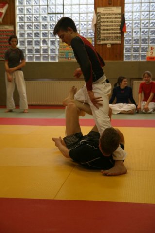 Judolehrgang Bodentechniken / SV / Treechallenge