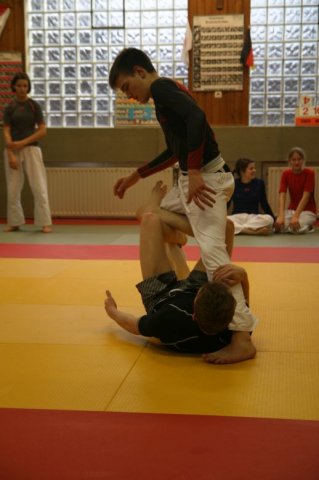 Judolehrgang Bodentechniken / SV / Treechallenge