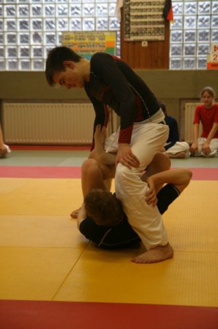 Judolehrgang Bodentechniken / SV / Treechallenge