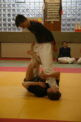 Judolehrgang Bodentechniken / SV / Treechallenge