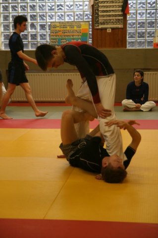 Judolehrgang Bodentechniken / SV / Treechallenge