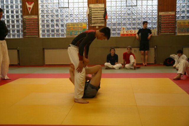 Judolehrgang Bodentechniken / SV / Treechallenge