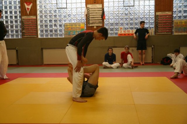 Judolehrgang Bodentechniken / SV / Treechallenge