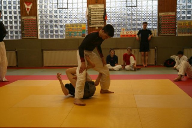 Judolehrgang Bodentechniken / SV / Treechallenge