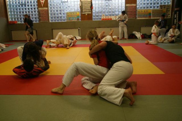 Judolehrgang Bodentechniken / SV / Treechallenge