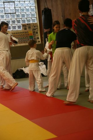 Judolehrgang Bodentechniken / SV / Treechallenge