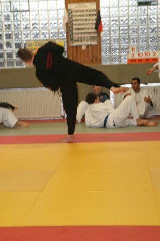 Judolehrgang Bodentechniken / SV / Treechallenge