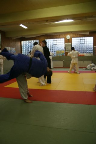 Judolehrgang Bodentechniken / SV / Treechallenge