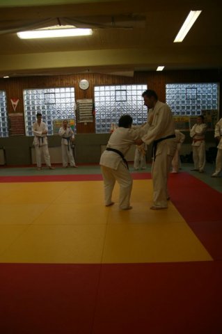 Judolehrgang Bodentechniken / SV / Treechallenge