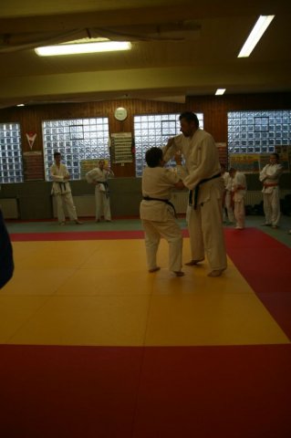 Judolehrgang Bodentechniken / SV / Treechallenge