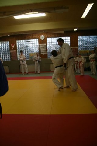 Judolehrgang Bodentechniken / SV / Treechallenge