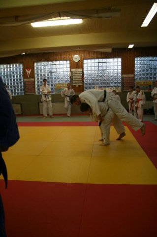 Judolehrgang Bodentechniken / SV / Treechallenge