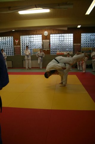 Judolehrgang Bodentechniken / SV / Treechallenge