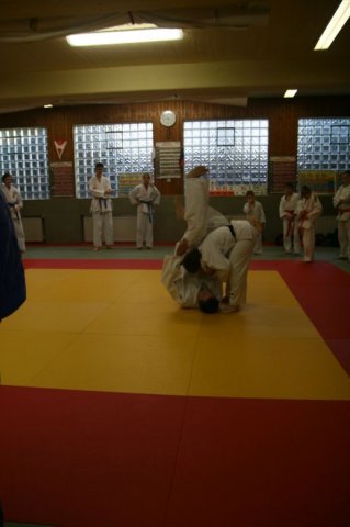 Judolehrgang Bodentechniken / SV / Treechallenge