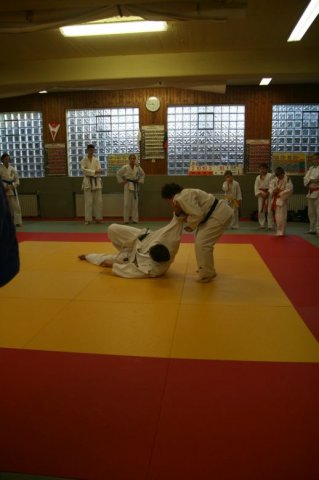 Judolehrgang Bodentechniken / SV / Treechallenge