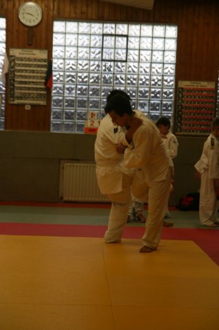 Judolehrgang Bodentechniken / SV / Treechallenge