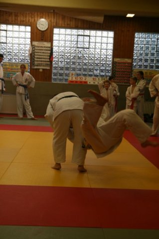 Judolehrgang Bodentechniken / SV / Treechallenge