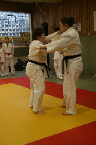 Judolehrgang Bodentechniken / SV / Treechallenge