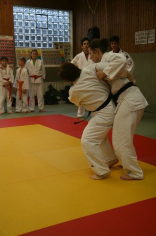 Judolehrgang Bodentechniken / SV / Treechallenge