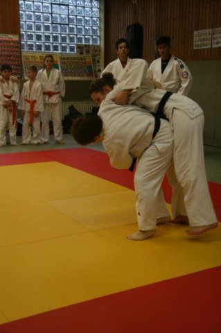 Judolehrgang Bodentechniken / SV / Treechallenge