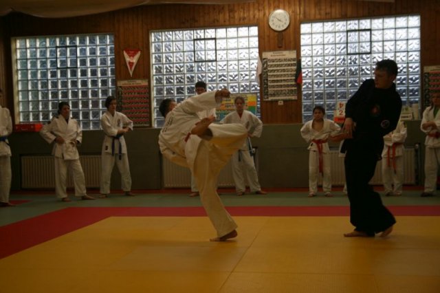 Judolehrgang Bodentechniken / SV / Treechallenge