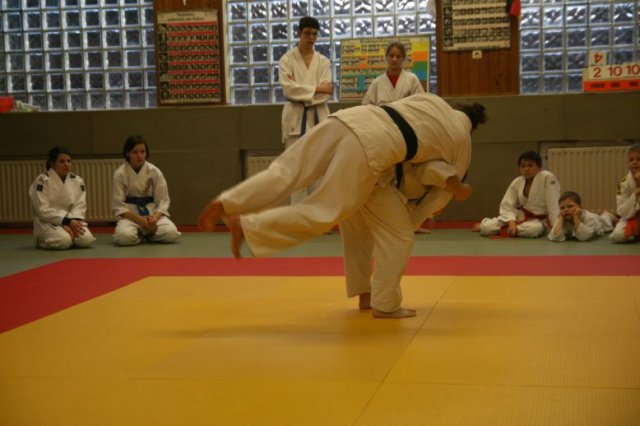 Judolehrgang Bodentechniken / SV / Treechallenge