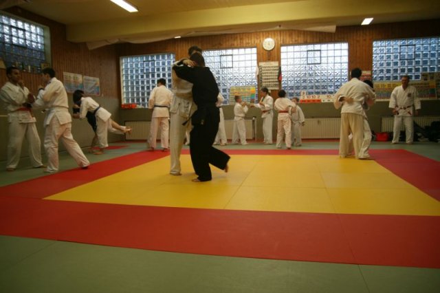 Judolehrgang Bodentechniken / SV / Treechallenge