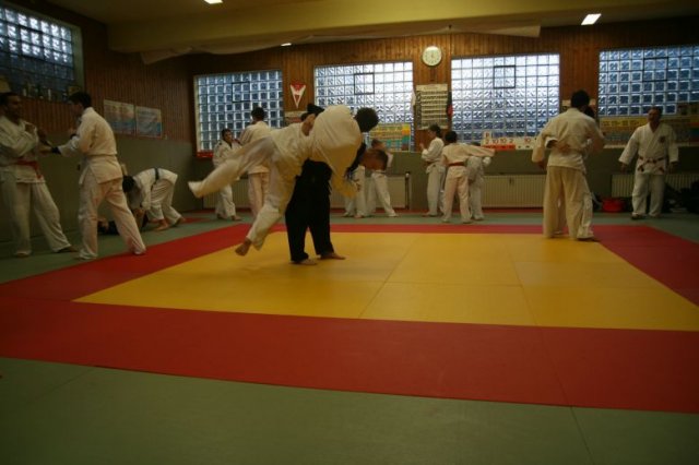 Judolehrgang Bodentechniken / SV / Treechallenge