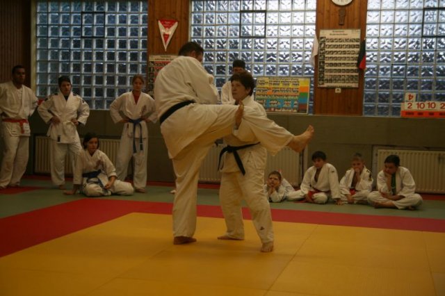 Judolehrgang Bodentechniken / SV / Treechallenge