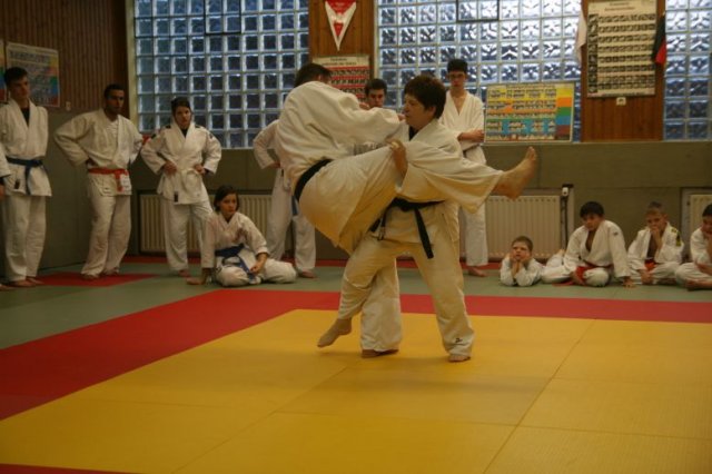 Judolehrgang Bodentechniken / SV / Treechallenge