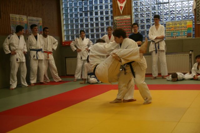 Judolehrgang Bodentechniken / SV / Treechallenge