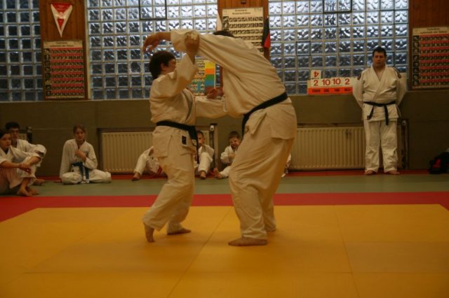 Judolehrgang Bodentechniken / SV / Treechallenge