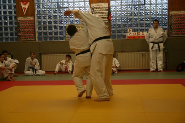 Judolehrgang Bodentechniken / SV / Treechallenge