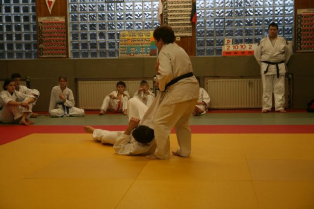 Judolehrgang Bodentechniken / SV / Treechallenge