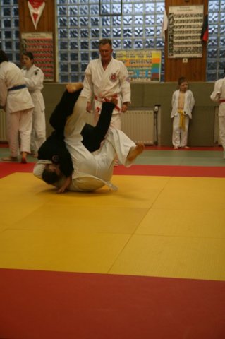 Judolehrgang Bodentechniken / SV / Treechallenge