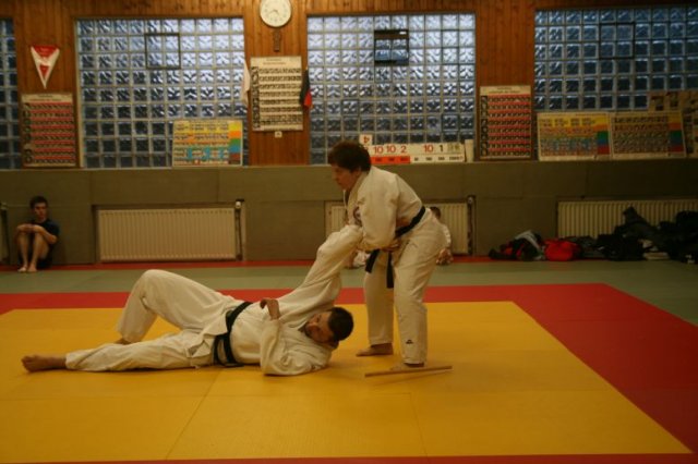 Judolehrgang Bodentechniken / SV / Treechallenge