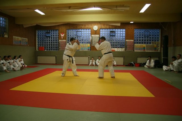 Judolehrgang Bodentechniken / SV / Treechallenge