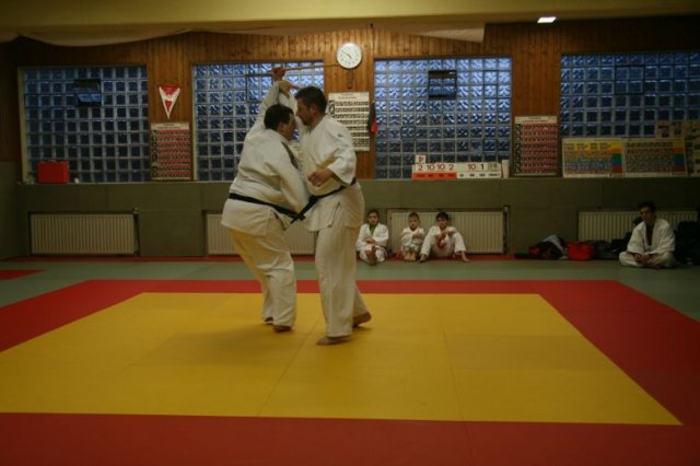 Judolehrgang Bodentechniken / SV / Treechallenge