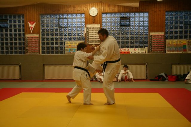 Judolehrgang Bodentechniken / SV / Treechallenge